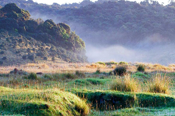 Horton Plains